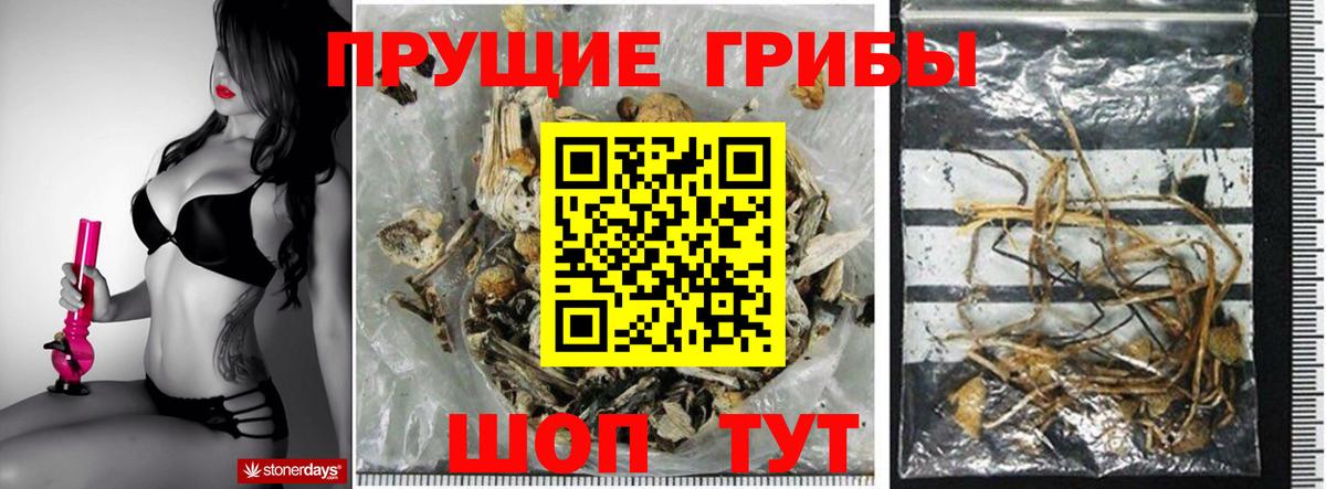 Еманжелинск  Псилоцибиновые грибы Psilocybe  Вход с VPN 